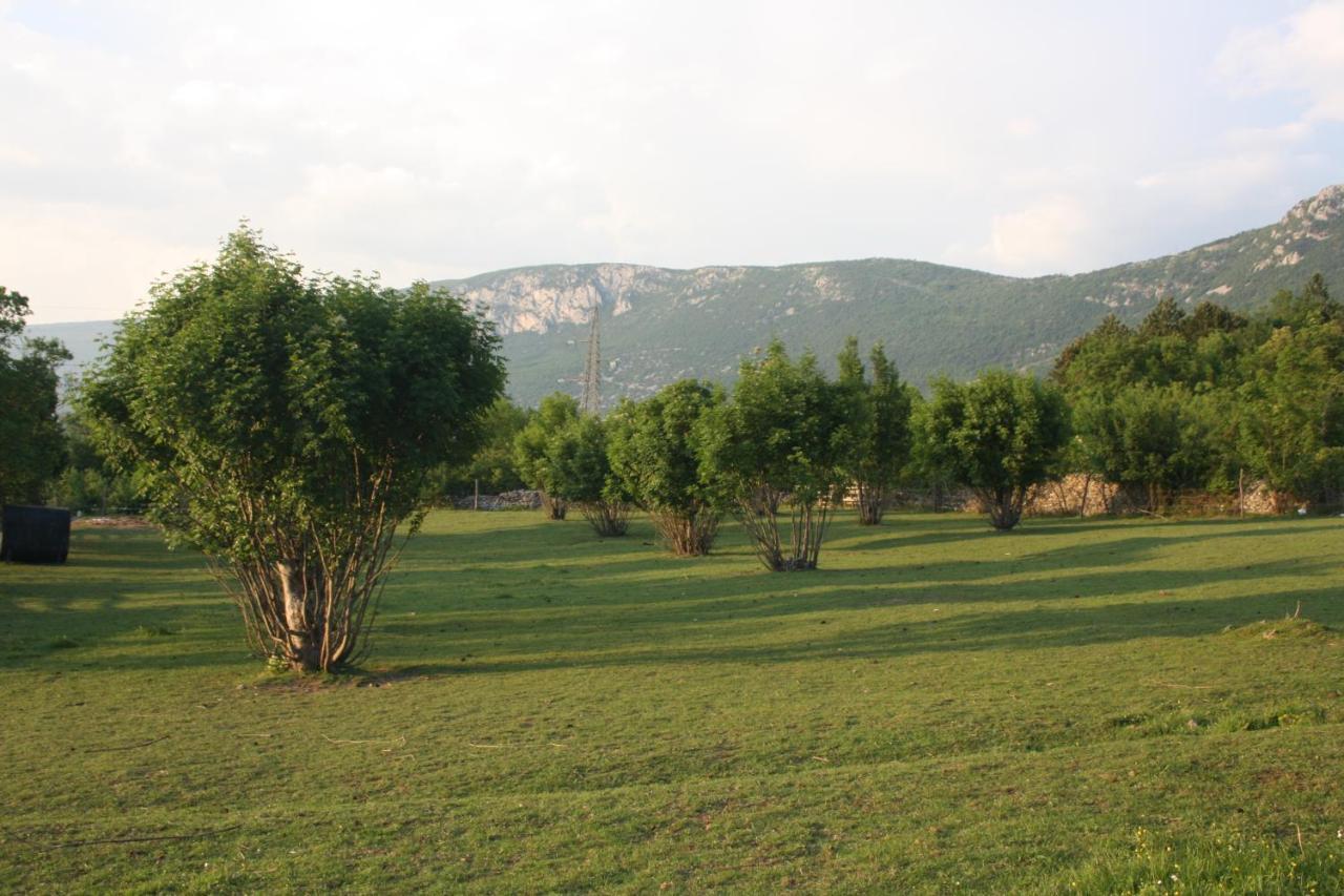 Kuca Za Odmor Lana Apartment Krsan Bagian luar foto