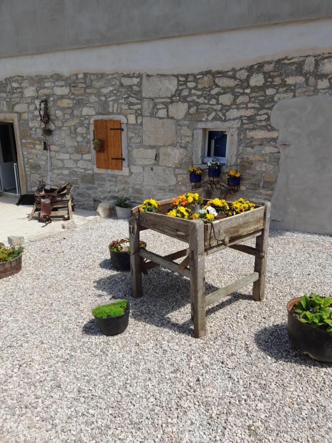 Kuca Za Odmor Lana Apartment Krsan Bagian luar foto